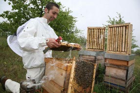 Fabian Lahres bei den Bienen