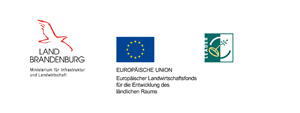 Kofinanzierung durch die EU und das Land Brandenburg